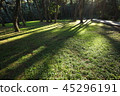 Gangwon-do, Yeongwol-gun, 45296191