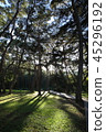 Gangwon-do, Yeongwol-gun, 45296192