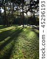 Gangwon-do, Yeongwol-gun, 45296193
