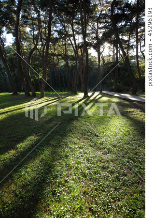 Gangwon-do, Yeongwol-gun, 45296193