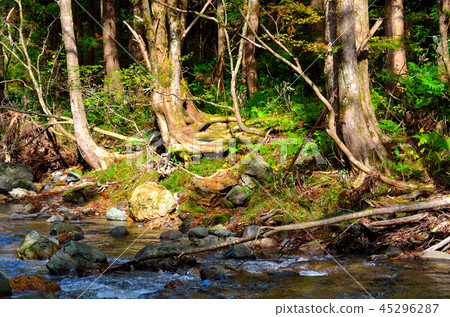 Scenery along Tazawako Line 45296287
