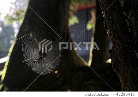 Fall of Koyasan 45296416