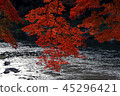 科樂美河的秋天 45296421