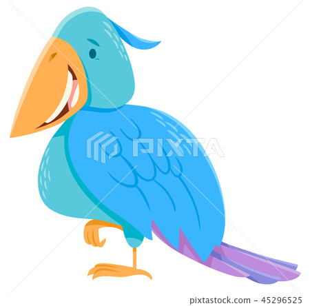 funny colorful bird cartoon character funny colorful bird cartoon character 45296525