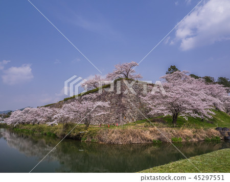 Emeizan Castle ruins in full bloom with cherry blossoms Emeizan Castle ruins in full bloom with cherry blossoms 45297551