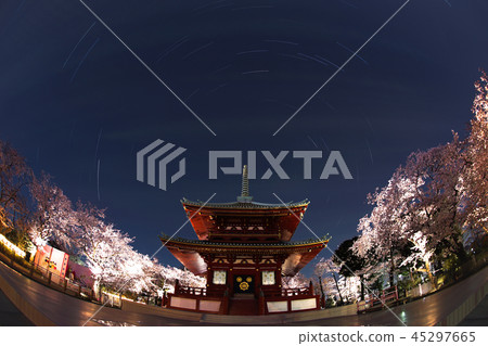 寺廟和夜櫻花和星星 45297665