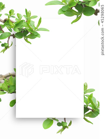 美好的春天背景 春天背景 春天花框架 插圖素材 圖庫