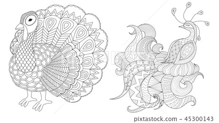 Turkey and peacock collection for coloring book pa Turkey and peacock collection for coloring book pa 45300143