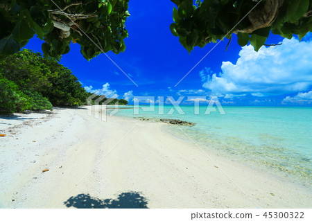 竹富島的康多海灘 45300322