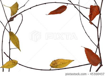 Autumn frame _ dead leaves and dead branches Autumn frame _ dead leaves and dead branches 45300437