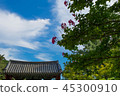 Gyeongju Bulguksa藍天藍天 45300910
