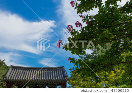Gyeongju Bulguksa藍天藍天 Gyeongju Bulguksa藍天藍天 45300910