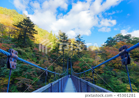 Retrospective suspension bridge 45301281