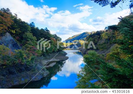 View the autumn leaves around Shiobara dam lake from the retrospective suspension bridge 45301616