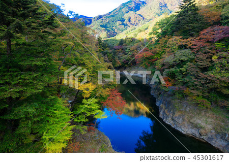 View the autumn leaves around Shiobara dam lake from the retrospective suspension bridge 45301617