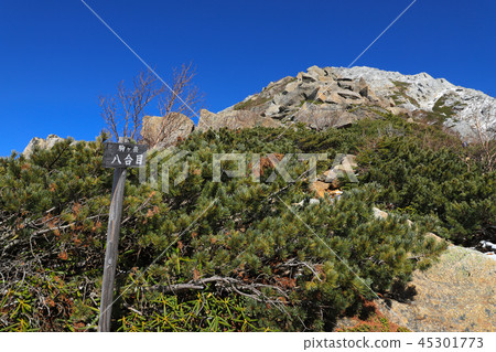 Famous peak first snow covered Kaikomagatake Yaoime 45301773