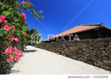 竹富島村 45302000