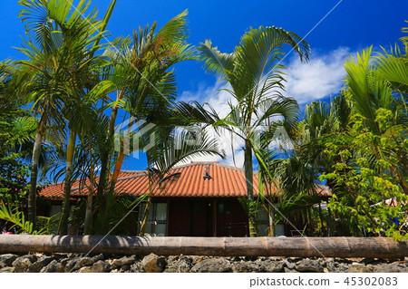 Village of Taketomijima 45302083