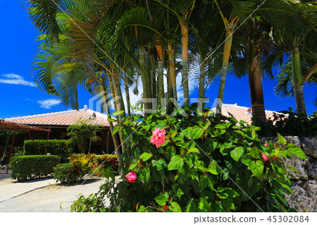 Village of Taketomijima 45302084