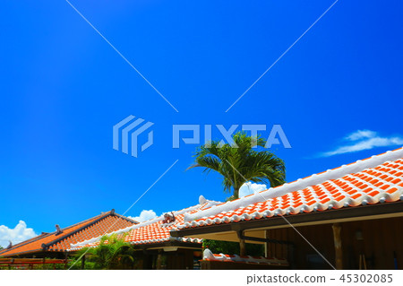 Village of Taketomijima 45302085