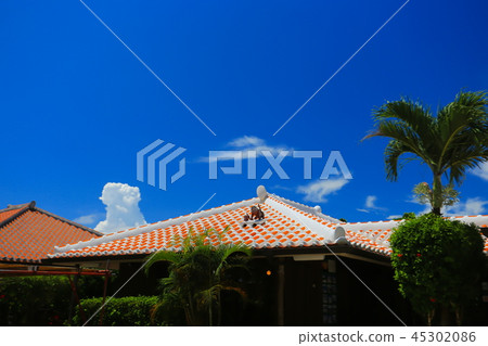 竹富島村 45302086