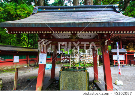 Fresh green Nikko Furayama Shrine World Heritage Site [Nikko City, Tochigi Prefecture] 45302097