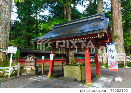 Fresh green Nikko Furayama Shrine World Heritage Site [Nikko City, Tochigi Prefecture] 45302105