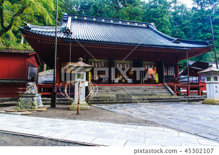 Fresh green Nikko Furayama Shrine World Heritage Site [Nikko City, Tochigi Prefecture] 45302107