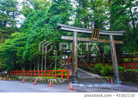 Fresh green Nikko Furayama Shrine World Heritage Site [Nikko City, Tochigi Prefecture] 45302110
