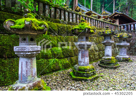 新鮮的綠色日光三和頌歌世界遺產[栃木縣日光市] 45302205