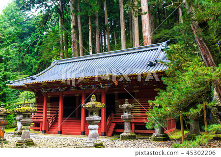 新鮮的綠色日光三和頌歌世界遺產[栃木縣日光市] 45302206