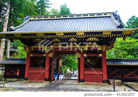 新鮮的綠色日光三和頌歌世界遺產[栃木縣日光市] 45302207