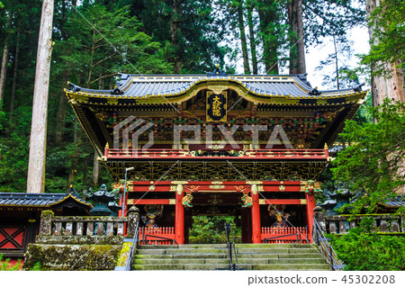 新鮮的綠色日光三和頌歌世界遺產[栃木縣日光市] 45302208