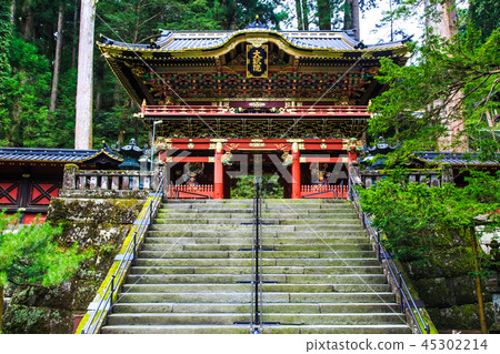 新鮮的綠色日光三和頌歌世界遺產[栃木縣日光市] 45302214