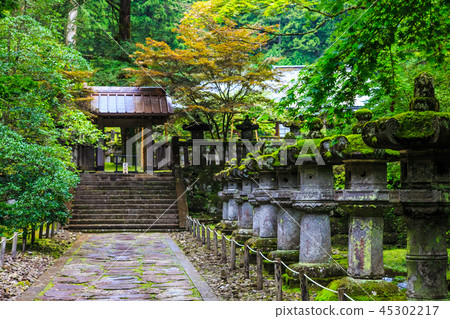 新鮮的綠色日光三和頌歌世界遺產[栃木縣日光市] 45302217
