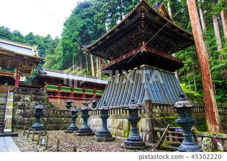 Fresh green Nikko Sanwa Odera World Heritage Site [Nikko City, Tochigi Prefecture] 45302220