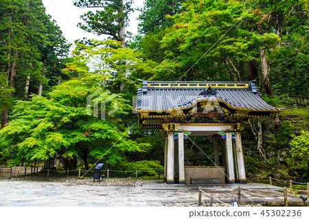 新鮮的綠色日光三和頌歌世界遺產[栃木縣日光市] 45302236