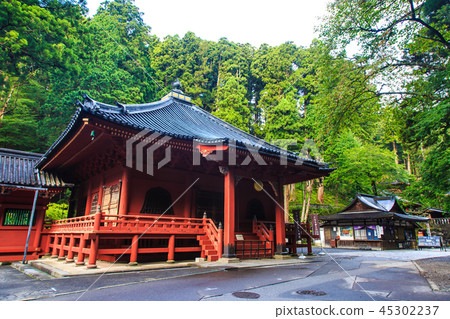 新鮮的綠色日光三和頌歌世界遺產[栃木縣日光市] 45302237