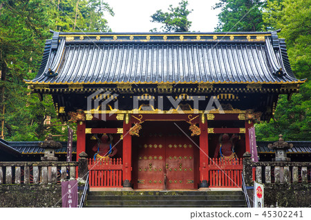 Fresh green Nikko Sanwa Odera World Heritage Site [Nikko City, Tochigi Prefecture] 45302241