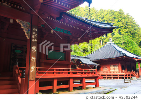 Fresh green Nikko Sanwa Odera World Heritage Site [Nikko City, Tochigi Prefecture] 45302244