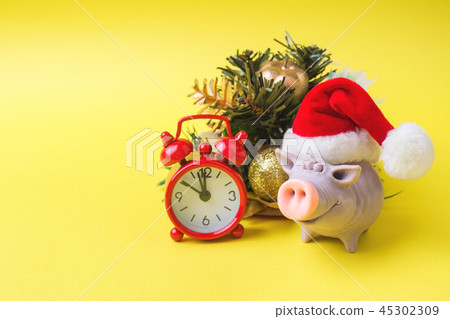 Christmas new year concept. The figure of the pig  45302309