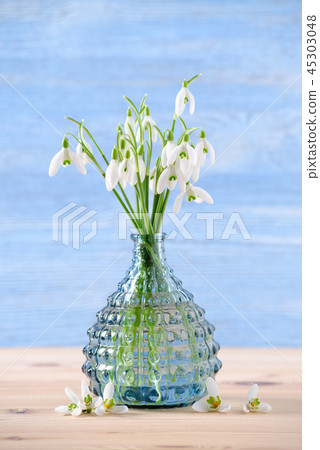 bouquet of fresh snowdrops flowers in a glass - Stock Photo