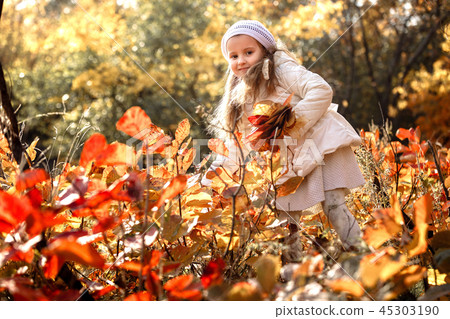 baby girl pick up a bouquet of yellow leaves on autumn day baby girl pick up a bouquet of yellow leaves on autumn day 45303190