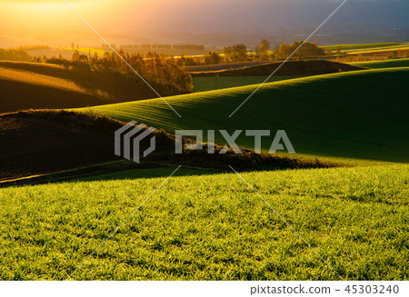 Morning came to the overlapping hills Morning came to the overlapping hills 45303240