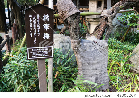Atago Shrine Tokyo atago-jinja 45303267