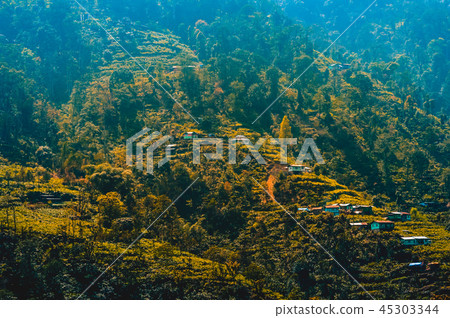 Himalayan Kashmir valley, Himalaya, India, Asia. 45303344