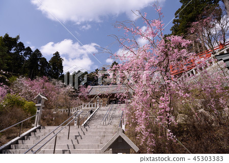 Emeizan Kannon寺廟櫻花視圖 45303383