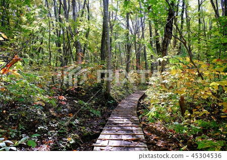 餃子和鼻子 餃子和鼻子 45304536