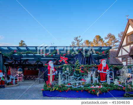 [Izu City, Shizuoka Prefecture] Christmas decoration [Shuzenji Niji no Sato] 45304630