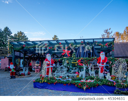 [Izu City, Shizuoka Prefecture] Christmas decoration [Shuzenji Niji no Sato] 45304631